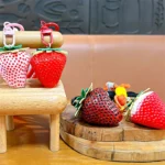 Realistic Strawberry Charm With Braided Lanyard, lifelike resin strawberry bag key pendant with carabiner clip